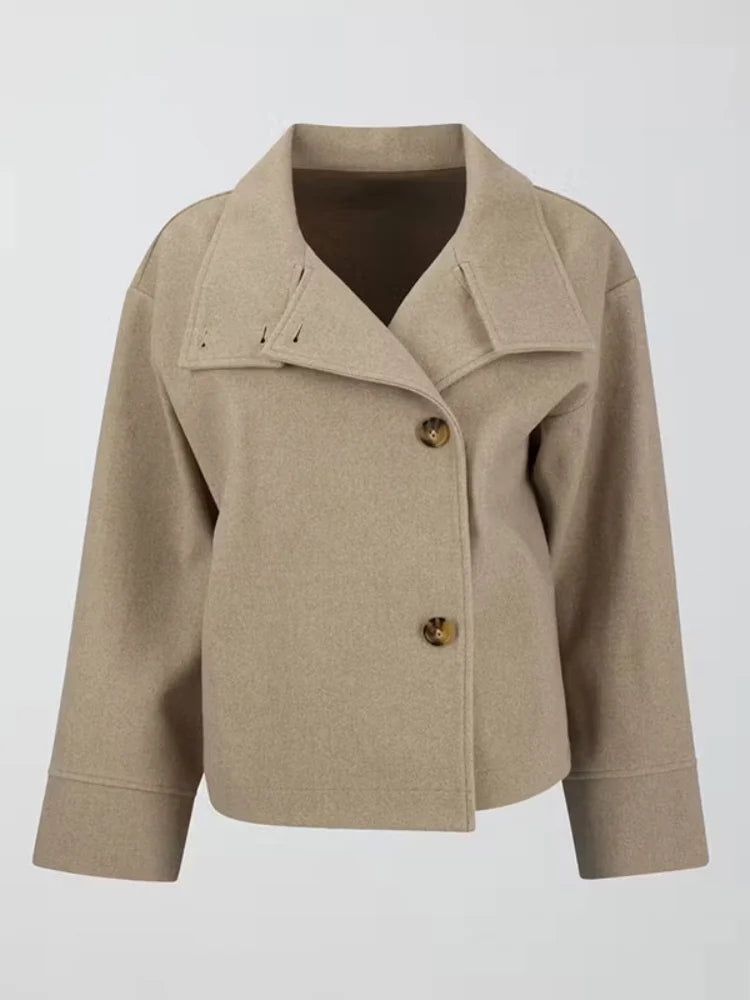 Stand Collar Single Breasted Woolen Overcoat Women Elegant Long Sleeve Solid Loose Fitting Coat New Autumn Winter Lady Outerwear