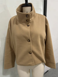 Stand Collar Single Breasted Woolen Overcoat Women Elegant Long Sleeve Solid Loose Fitting Coat New Autumn Winter Lady Outerwear